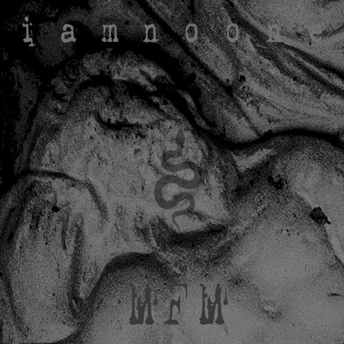 MFM