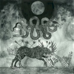 Dead Language, Foreign Bodies