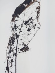 Autumn | Worn