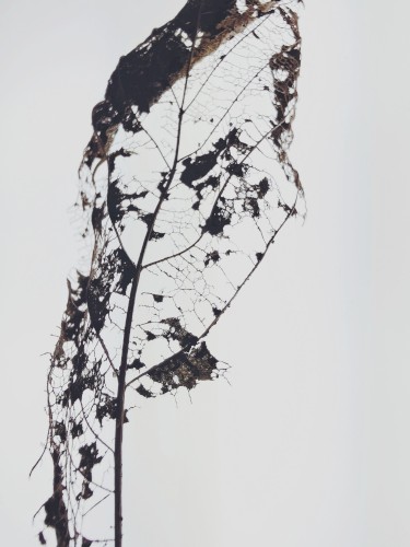 Autumn | Worn