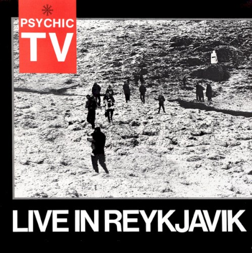 Live In Reykjavik