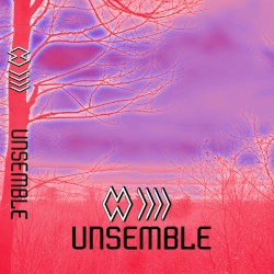 Unsemble
