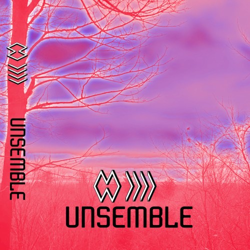 Unsemble