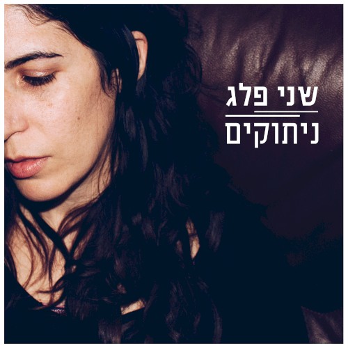 ניתוקים