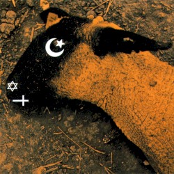 Animositisomina