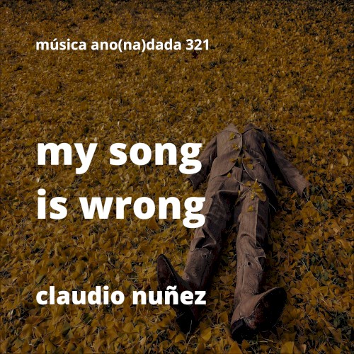 My Song Is Wrong