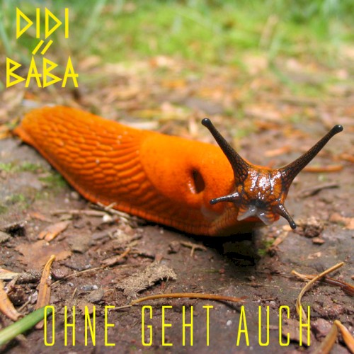 Ohne geht auch