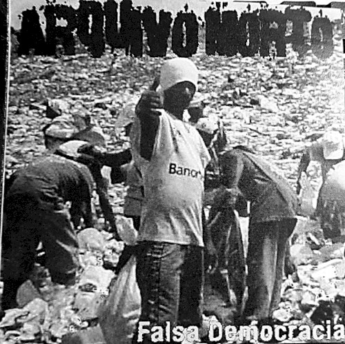 Falsa Democracia