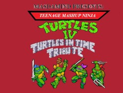 Teenage Mashup Ninja Turtles IV: Turtles in Time Tribute