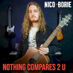 Nothing Compares 2 U