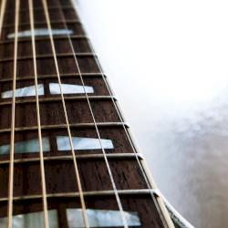 Fret