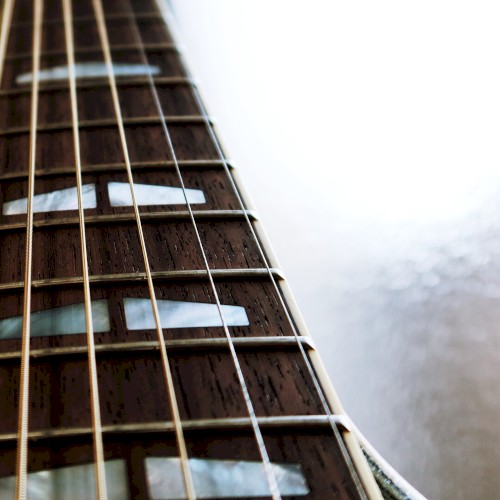 Fret