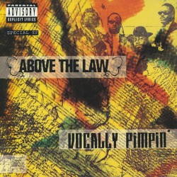 Vocally Pimpin'