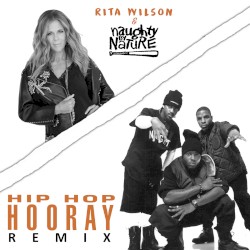 Hip Hop Hooray (remix)
