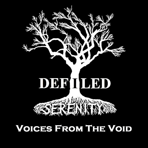 Voices From the Void