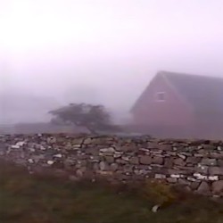morgondimma