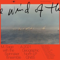 The Wind of Things