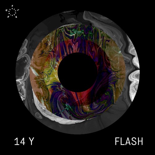 14 Years FLASH Recordings