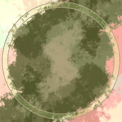 Lichenography II