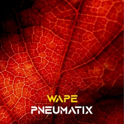 Wape