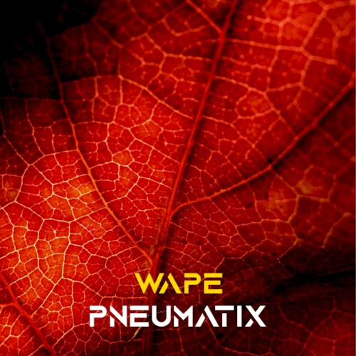 Wape