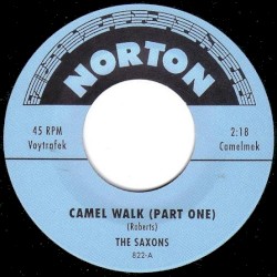 The Camel Walk