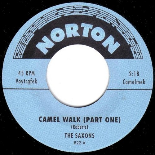 The Camel Walk