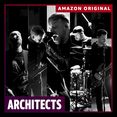 Animals (Amazon Original)