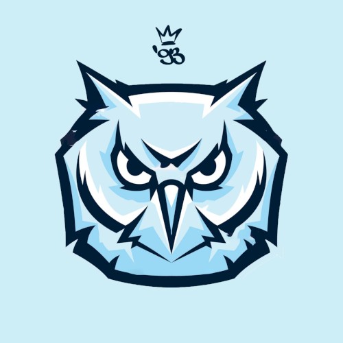 Midnight Owl EP