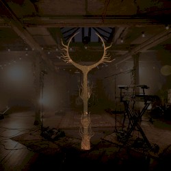 Live at the Biscuit Factory