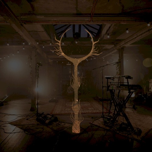 Live at the Biscuit Factory