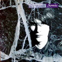 Dominic Sonic