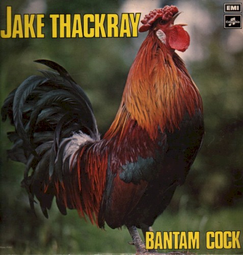 Bantam Cock