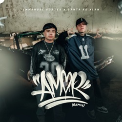 AMOR (Remix)
