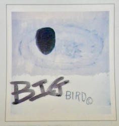 Big Bird