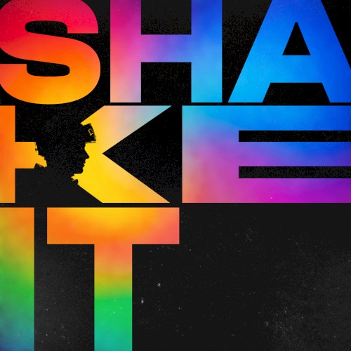SHAKE IT DUB