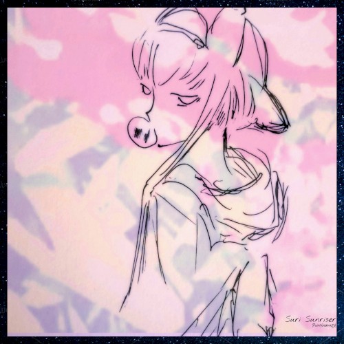 PlotNights24