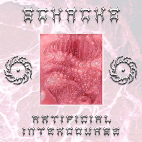 Artificial Intercourse