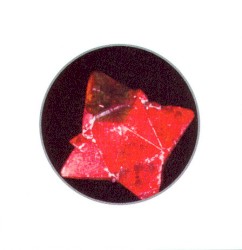 [untitled]