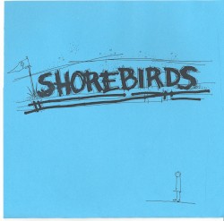 Shorebirds