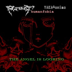 The Angel is Looking