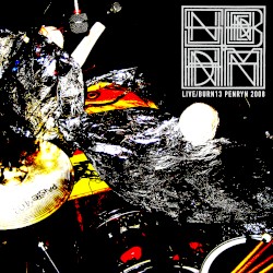 Live Burn 13 - Penryn, Cornwall, England, 06/2008