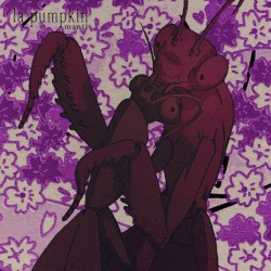 mantis