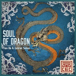 Soul of Dragon