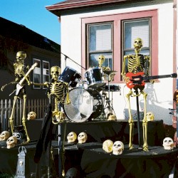 life till bones