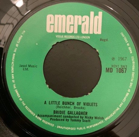 A Little Bunch of Violets