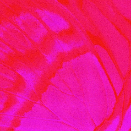 escape