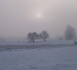 Arc of a Snowfall