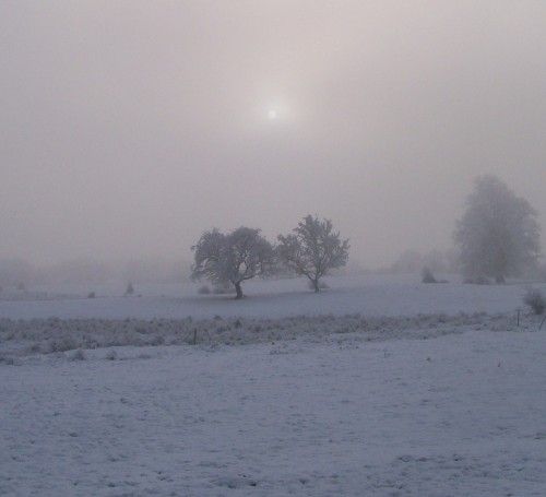Arc of a Snowfall