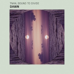 Dawn